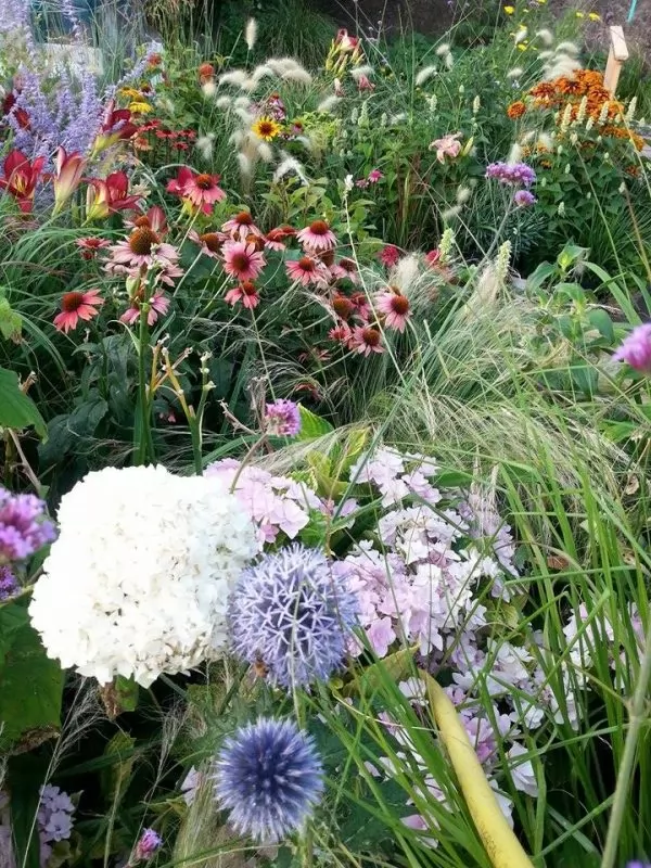 scorcio del giardino