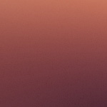 Luglio ed Agosto: le piante quando siamo in vacanza