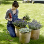 Il giardinaggio fa bene alla salute, ecco un altro motivo per prendersi cura delle piante e dell’orto