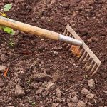 Quali sono gli strumenti indispensabili per fare giardinaggio?