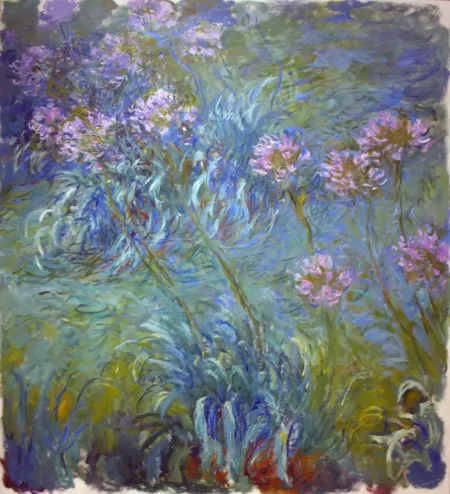 Monet, Agapanthus