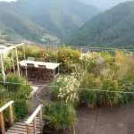 Il giardino in terrazza: consigli e suggerimenti di chi lo ha realizzato