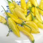 Peperoncino Hot Lemon o Lemon Drop