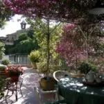 Prenditi cura delle tue piante: cosa fare a settembre ed ottobre