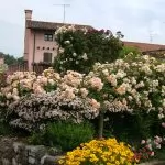 Giardini privati e Giardini Aperti: una risorsa per il territorio