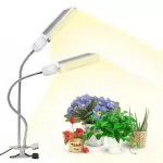 Lampade e luci per coltivare le piante indoor
