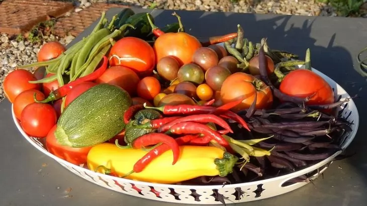 come realizzare in orto verticale sul terrazzo