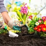 Passione giardinaggio: mai senza la cura della biodiversità [Intervista a Enrico Vezzelli]