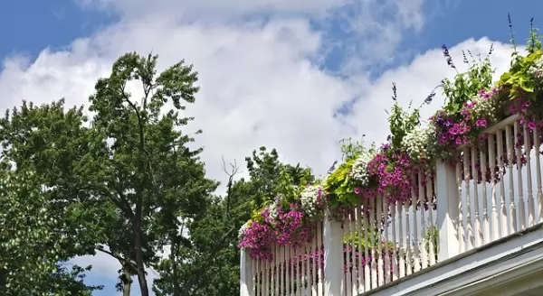 vasi di fiori per balconi