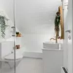 Piante ideali per il bagno