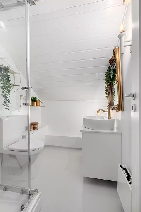 Piante ideali per il bagno