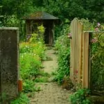 Come creare il proprio Giardino. I Primi Passi: dalla scelta della pianta alla messa a dimora