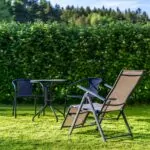 Piante utili come siepi per creare privacy nel giardino